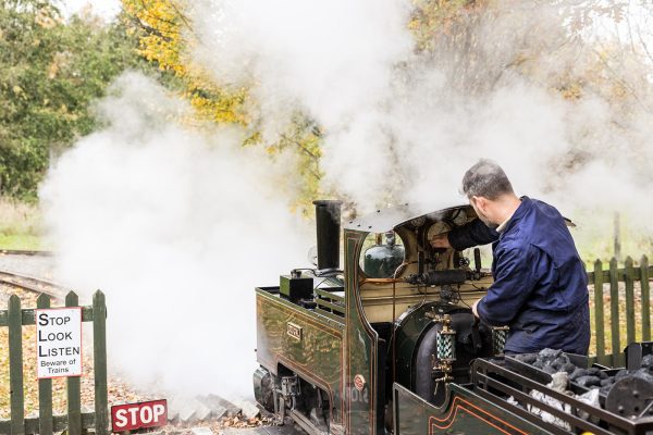 Valley Railway Steam Engine steaming at Evesham Vale platform with Autumnal tree view
