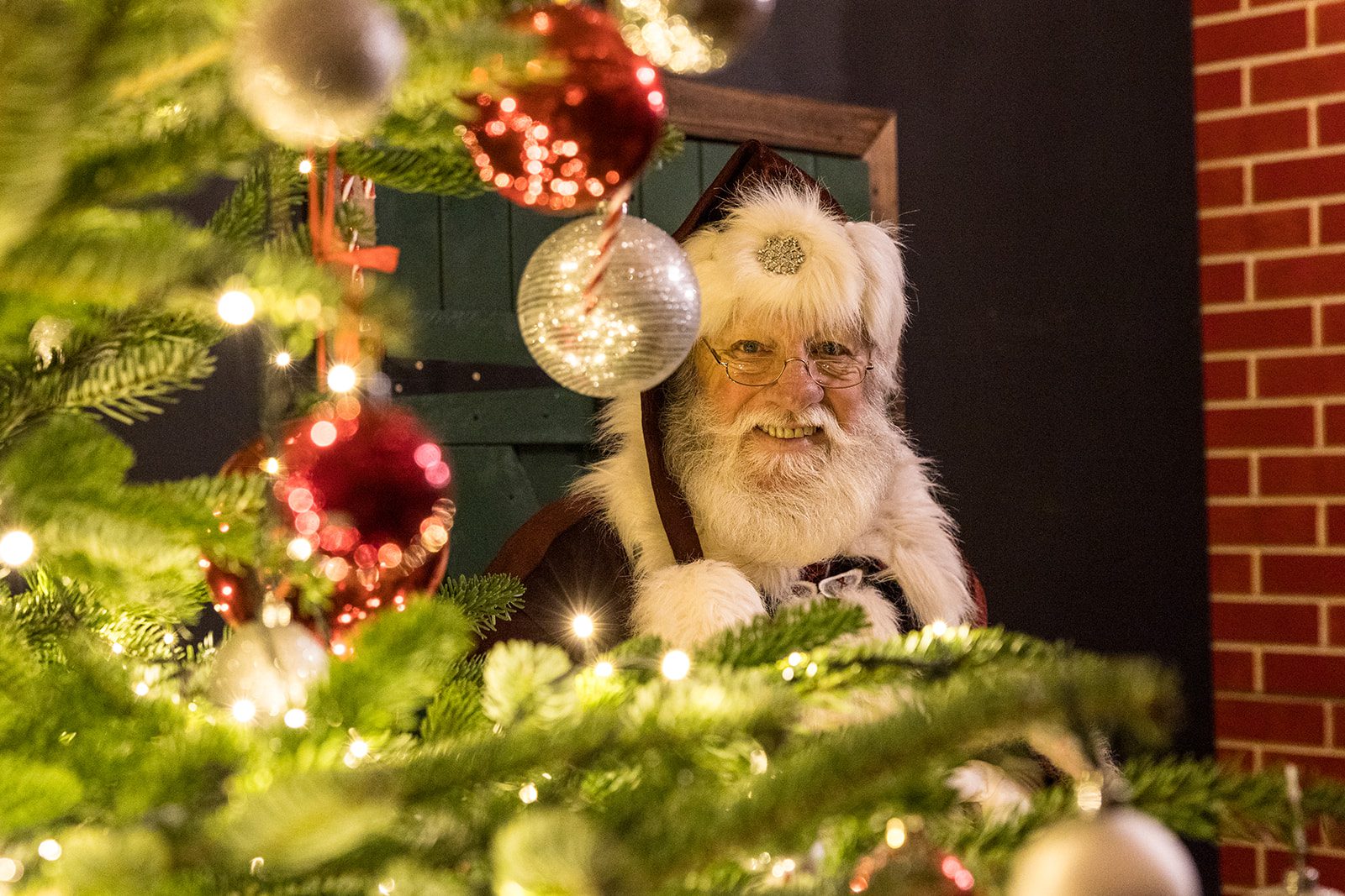 Father Christmas peeping from behind Christmas Tree at Valley Railway Adventure