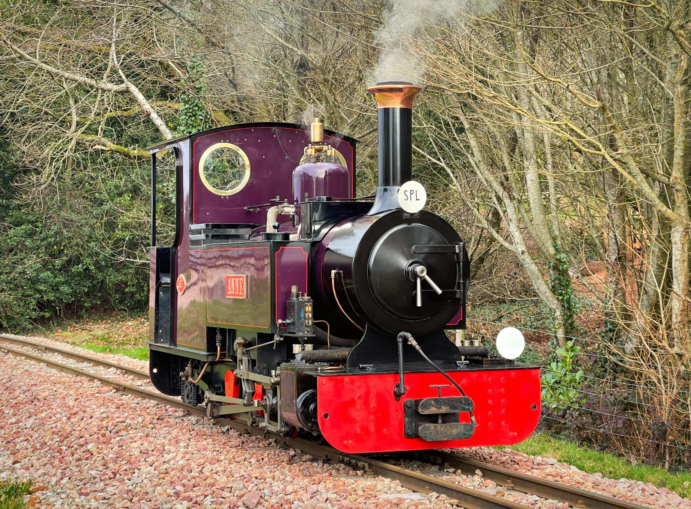 Anne in Feb 2023